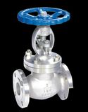 Globe Valve