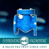 Swing Check Valve (CKV-004-C)