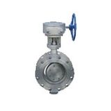 Triple Eccentric Worm Gear Drivern Butterfly Valve (D343F/H-16C)