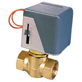 Thermostat Motorized Valves (RK)