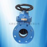 Non-Rising Stem Resilient Seated Gate Valve