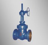 Pressure Sealed Gate Valve