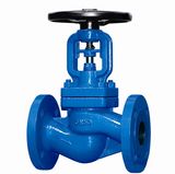 DIN Bellow Seal Globe Valve  (WJ41H-PN16-DN15-DN200)