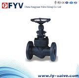 API 602 Forged Steel Globe Valve F304 F316