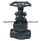 Forged Steel Gate Valve (NPT, SW, NPT)