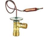 Expansion Valve&Receiver Drier