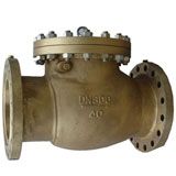 Bronze Check Valve