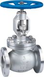 Globe Valve