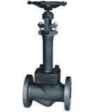 Cryogenic globe valve (J41Y-900C)