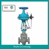 Top Guide Single Seat Control Valve