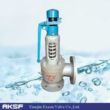 Spring Closed Type Safety Valve