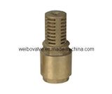 Brass Foot/Check Valve (WB-4013)