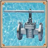 Plug Valve