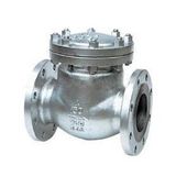 Check Valve