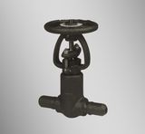 Socket Welded Forge Steel Gate Valve