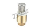 Brass Swing Check Valve (YD-7001)