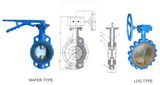 Butterfly Valve