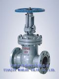 Worm Gear Ductile Iron Gate Valve (Z41X-10/16)