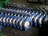 Butterfly Valves