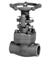 Forged Steel Globe Valves (HZ09008)