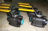 3PC High Pressure A105 NPT/Sw Forged Ball Valves