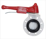 PVDF Hand Wheel Butterfly Valve (D71X-6F)