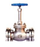 Cryogenic Safety Valve for LNG