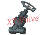 API 800# Y Type Flanged Forged Steel Globe Valve (XT-J11H)