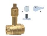 Built-In Ball Valve (ZD-131FF)