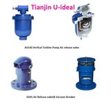 Air Release Valve& Vacuum Breaker, for Vertical Turbine Pump