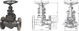 Forged Steel Globe Valve Series (SDV-503J)