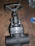 Forged Gate Valve (800LB)