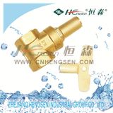 Brass Gate Valve with Lock/Brass Fitting