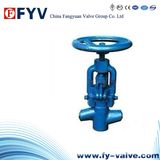 High Pressure Globe Valve for Power Station