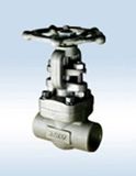 API602 Forged Steel Valve