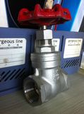 NPT Gate Valve