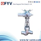 Welded Globe Valve for Power Station (Asme B16.34)