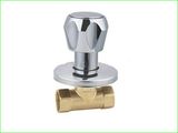 Stop Valve/Valves/Brass Valve