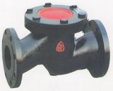 Lift Check Valve