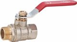 Brass Ball Valve (SS-8110)