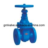 Cast Iron Non Rising Stem Double Flange Gate Valve (Z45T/H)