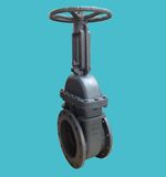 DIN Stainless Steel Seated Rising Stem Gate Valve PN10/16