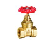 Brass Gate Valve/Dn15-Dn100/Customize Brass Valve