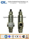 Low Temperature O2 N2 Safety Release Valve