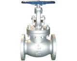 ANSI Globe Valve