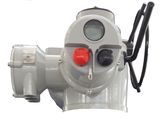 Electric Multi-Turn Actuator for Radiator Valve (CKD120)