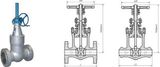 Class 600~2500 Pressure Seal Gate Valve