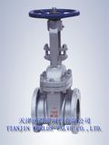 Worm Gear Gate Valve (Z41X-10/16)