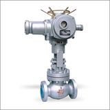 Globe Valve