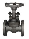 Forged Steel Gate Valve